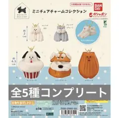 Maison terrier ミニチュアチャームコレクション コンプリート