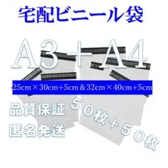 Item thumbnail for item 8bde9d01-404b-4bb9-8391-c622681cbe46