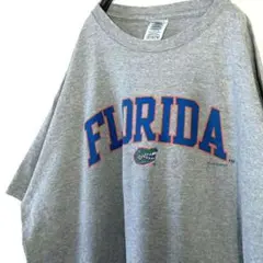 デルタ フロリダ ゲイターズカレッジ Tシャツ XL グレー 灰色 古着