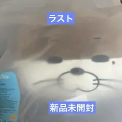 2025年最新】BBnexdo クッションの人気アイテム - メルカリ