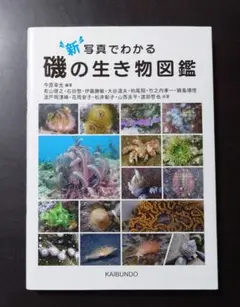 新 写真でわかる磯の生き物図鑑