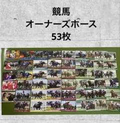 オーナーズホース カード 53枚セット　大量まとめ売り＊QD