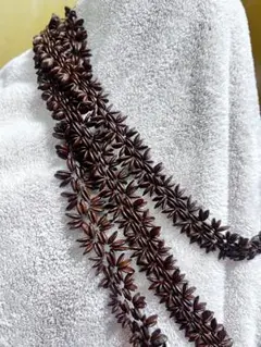 Item thumbnail for item 8c51b4a2-1ff5-4569-97d0-33623e22b5c8