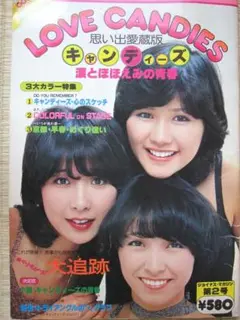 キャンディーズ 涙とほほえみの青春 LOVE CANDIES