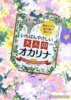 Item thumbnail for item 46ec34d5-bfaf-4c04-8f5d-4db9d3c08783