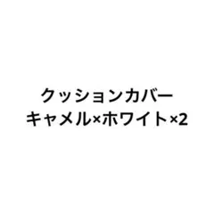 専用