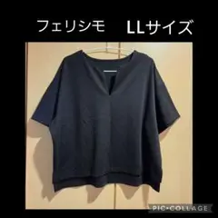 フェリシモ　千趣会　Vネック　トップス　LL