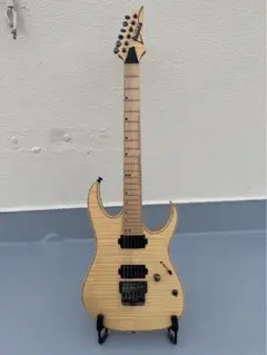 Ibanez Premium RG721改　ディマジオ  DP155 Electric Guitar Ibanez RG721RW Premium Series 1P-02