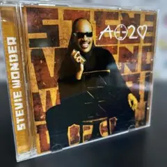 STEVIE WONDER /A Time To Love スティービーワンダー