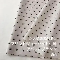 S2L/5736-01◆3m 感謝祭/ポリエステルプリントジョーゼット生地