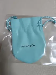 ティファニー TIFFANY 巾着 新品未使用 ブルー