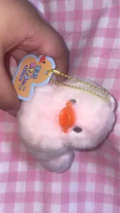 走るアヒルの子