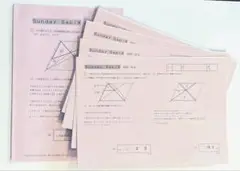 サンデーサピックスSS特訓 算数 SSOG-01A〜14A 全14回⭐︎鴎友