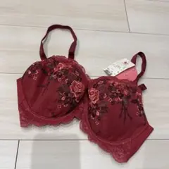 女神のヒミツ　ワコール　ブラジャー D80