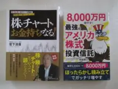 8000万円増やす! 最強のアメリカ株式投資信託 株とチャートでお金持ちになる!