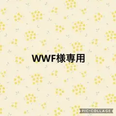 Item thumbnail for item 3644f0ea-211e-4b9b-b69f-b87c88a709f0