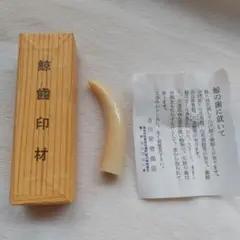 【値下げ】鯨歯　マッコウクジラ　印材　曲りタイプ② マッコウクジラ - 印鑑・ハンコの専門店 平安堂