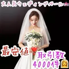 ✨最安値ラスト✨ウェディングベール 2層 結婚式 挙式 チャペル ベールダウン