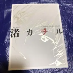 美品 エヴァ ALL ABOUT 渚カヲル エヴァンゲリオン