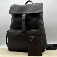 【希少】ザネラート イルド バックパック ブルー系 オールレザー 保存袋付属 希少】ザネラート イルド バックパック ブルー系 オールレザー