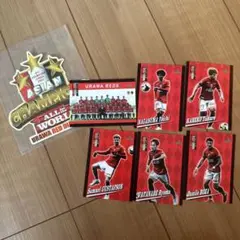 浦和レッズ マッチデーカード オマケ付き