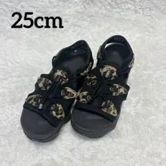 Item thumbnail for item a9c9ecef-70c5-48ca-932c-c086ad6a05b4