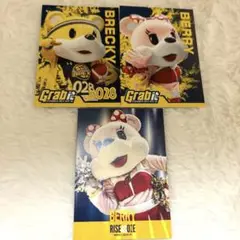 宇都宮ブレックス　ブレッキーとベリーちゃん