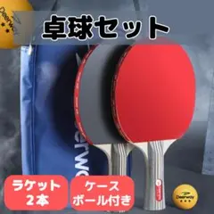 【値下げ】卓球 ラケット 2本 ボール 家庭用 レジャー 初心者 中級者 新品