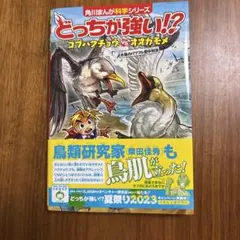 ◎専用◎どっちが強い!? コブハクチョウvsオオカモメ 水鳥のパワフル空中対決