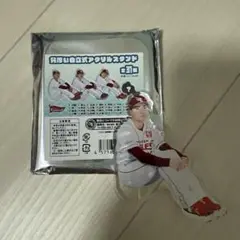 楽天イーグルス　荘司康誠