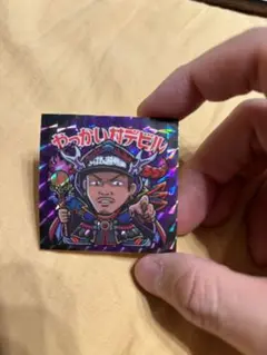 レア　やっかい村興業　最高級ナイロンセットアップ　白黒 レア やっかい村興業 最高級ナイロンセットアップ 白黒 （【2025