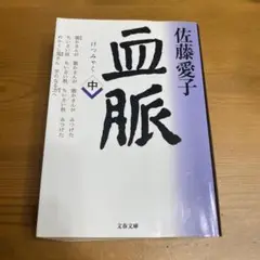 【即決歓迎】血脈 中 佐藤愛子