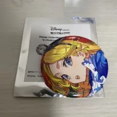 mika pikazo ディズニーコレクション アリス アクリルブロック MikaPikazo ×Disney アリス アクリルブロック - メルカリ