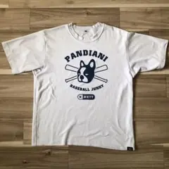 PANDIANI 野球 Tシャツ ZETT ベースボールジャンキー Mサイズ