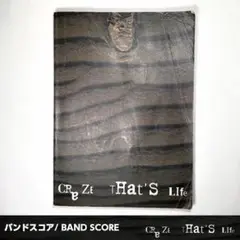 BS クレイズ/ザッツライフ Amazon.co.jp: THAT'S LIFE - CRAZE: ミュージック
