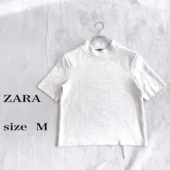 Item thumbnail for item 4f36471c-e1ce-4328-bda1-2e113e2b85e3