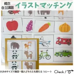 個人・集団でも使える！カテゴリーマッチング 自立課題 療育 モンテッソーリ
