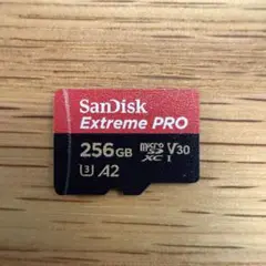 SanDisk Extreme PRO 256GB MicroSDカード