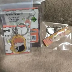 ハイキュー!!日向翔陽　キーホルダー2個セット