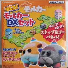 新品未開封　はしるモルカーDXセット