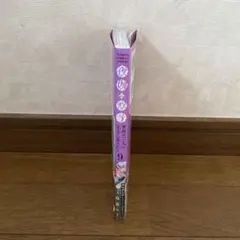夜伽の双子　9巻