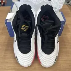 Jordan Luka 3（239）