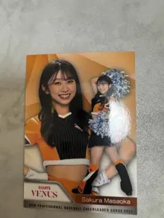 Item thumbnail for item 77760f5f-092e-43cc-9b21-6cf9f006ff81