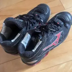 Item thumbnail for item 6f1a98b4-1944-486a-b444-9c798bf55d27