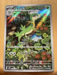 ブラックボルト　ツタージャar、ジャノビーar 20枚セット　まとめ売り0410 ホワイトフレア ブラックボルト ツタージャ 進化ライン まとめ