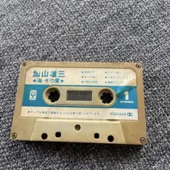 Item thumbnail for item 15befd45-06de-4f6c-a762-4118c3b825ed