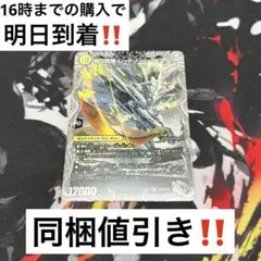 【24時間以内発送‼︎】レッドゾーンバスター　ドギラゴンx 銀トレジャー