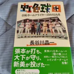 長谷川晶一　虹色球団 日拓ホームフライヤーズの10カ月