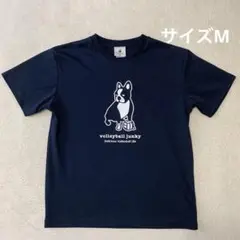 claudio pandiani バレーボールジャンキー　半袖Tシャツ　速乾