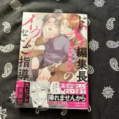 ドS編集長のイケないご指導　ボーイズラブ